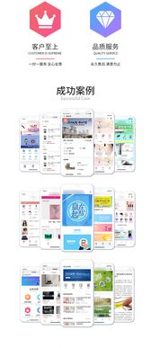 电商软件定制开发 软件开发 app开发 app外包开发公司