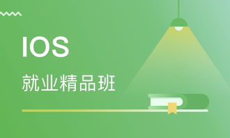 天津ios就业精品班价格 软件开发培训哪家好 天津东软睿道 淘学培训